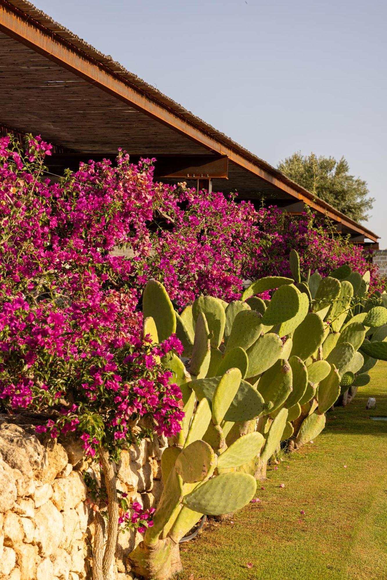 Masseria San Francesco Savelletri Exteriér fotografie