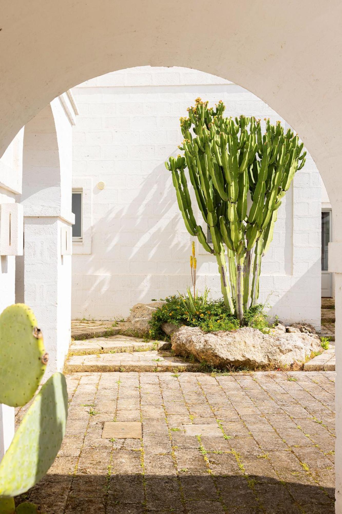 Masseria San Francesco Savelletri Exteriér fotografie