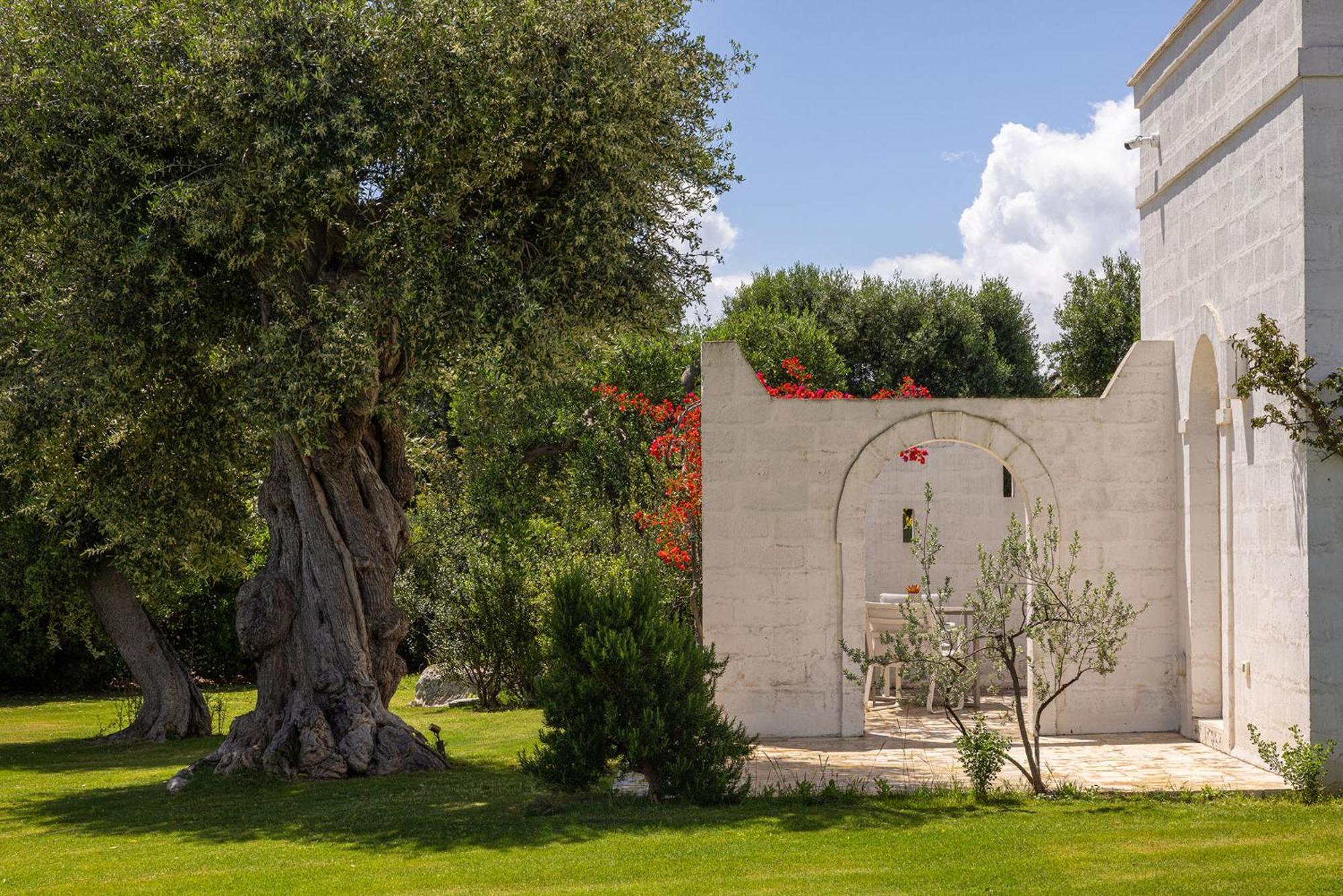 Masseria San Francesco Savelletri Exteriér fotografie